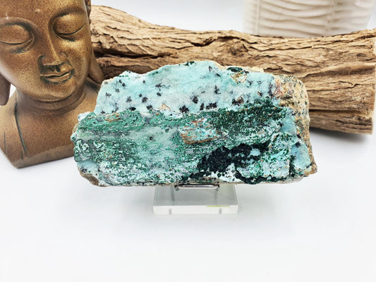 Natural Drusy coated Chryocolla Specimen with Malachite Crystals and Psilomane Dendrite