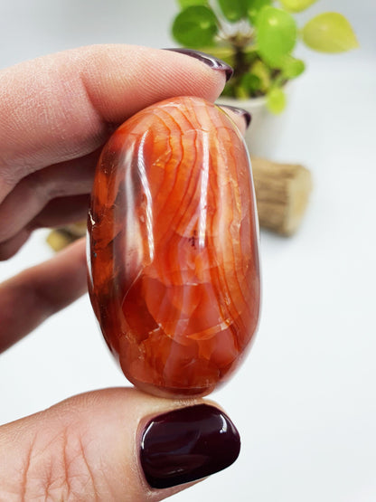 Drusy Carnelian Palm