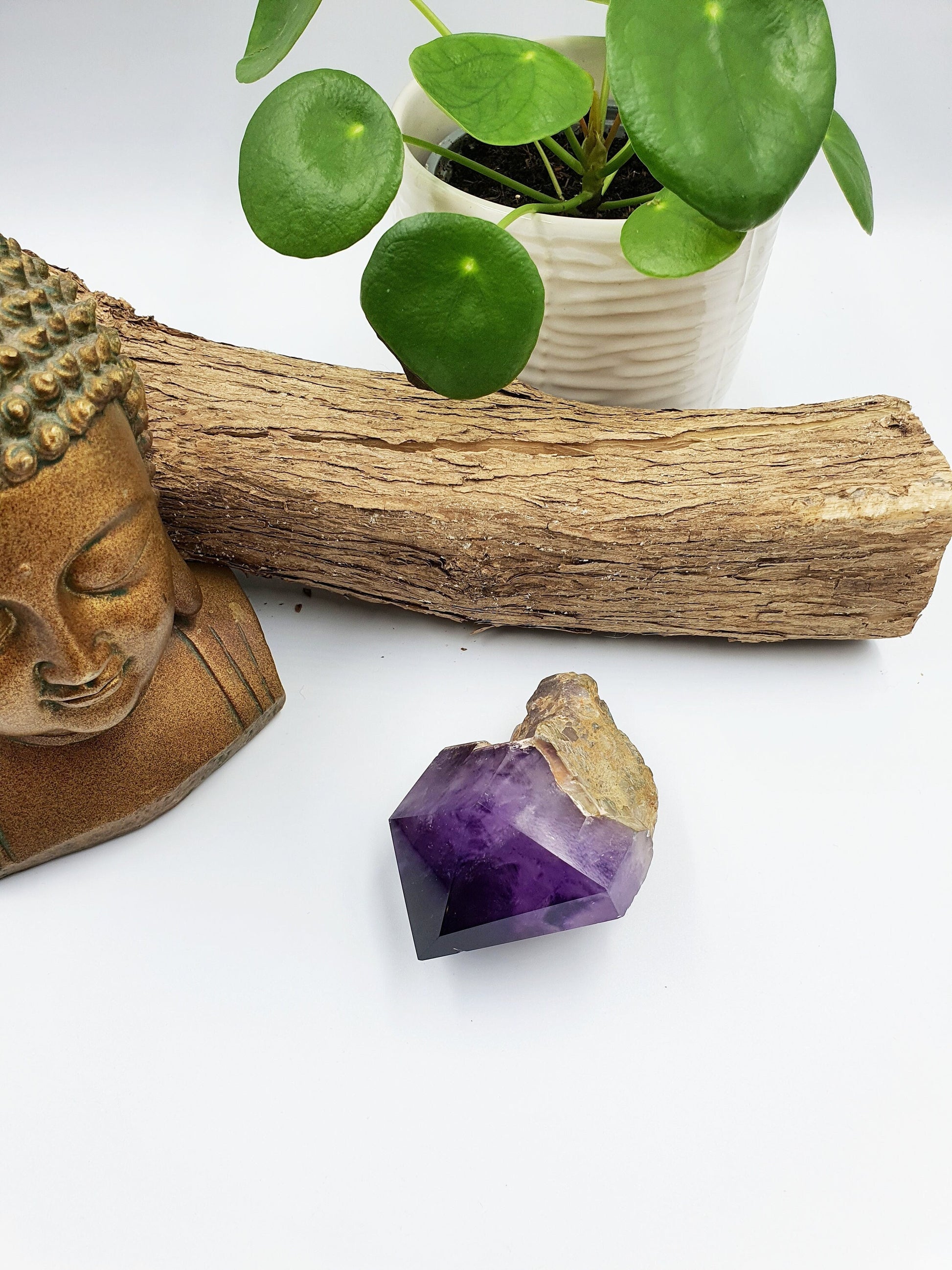 Amethyst Raw Sceptre