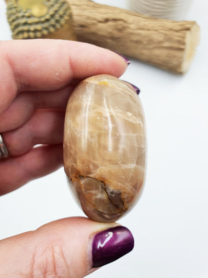 Flashy Moonstone Palm