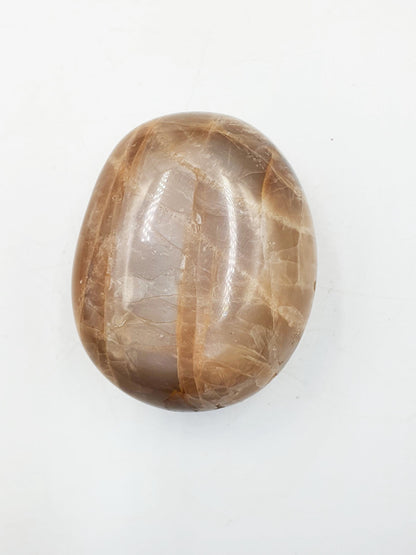 Flashy Moonstone Palm