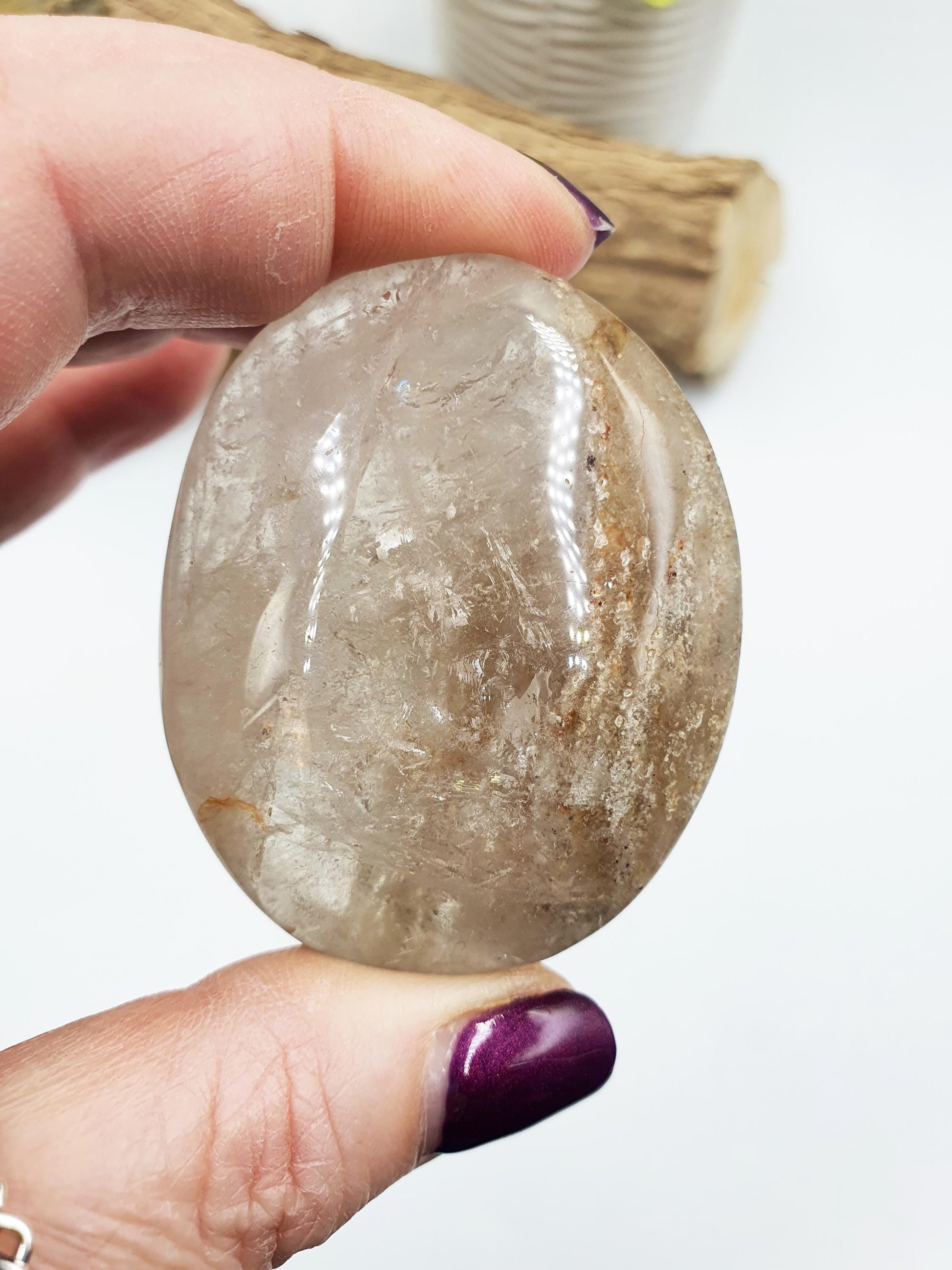 Flashy Thousand Layer Palm - Thoudand Layer (Lodolite) Palm Stone