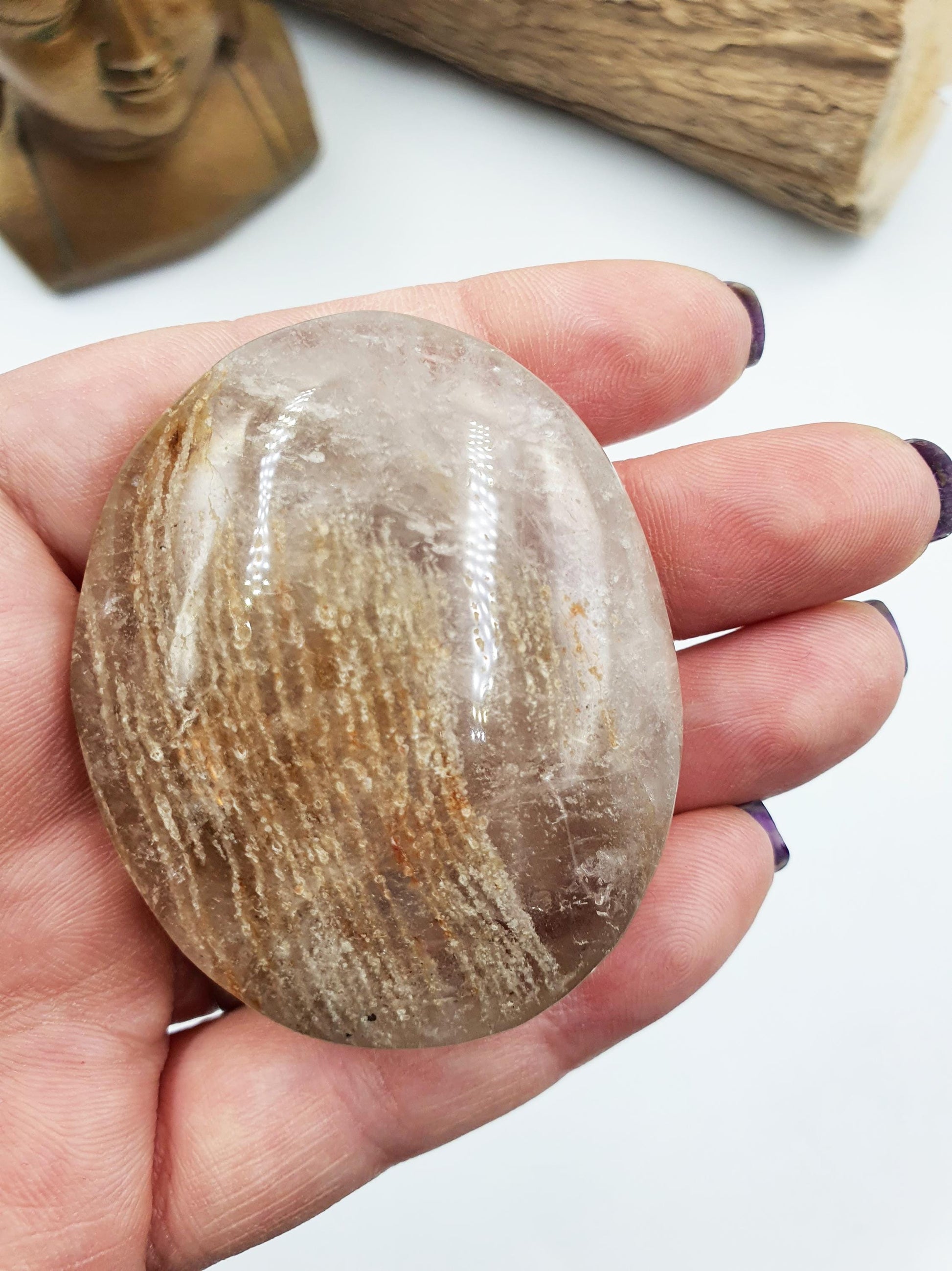Flashy Thousand Layer Palm - Thoudand Layer (Lodolite) Palm Stone