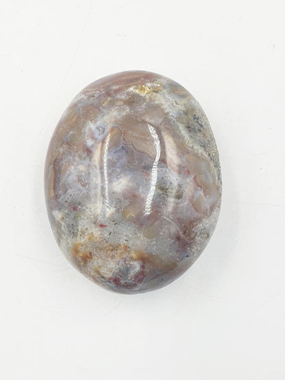 Large Ocean Jasper Palm