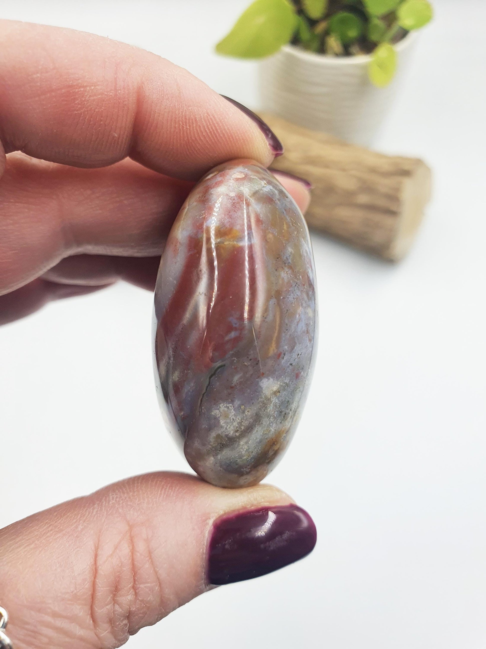 Large Ocean Jasper Palm