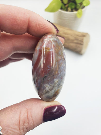 Large Ocean Jasper Palm