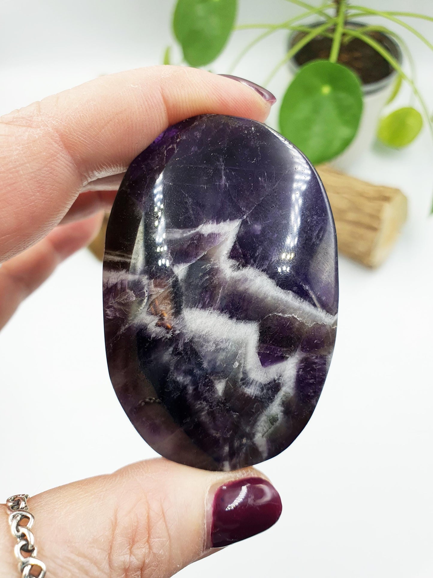 Large Dream Amethyst Palm