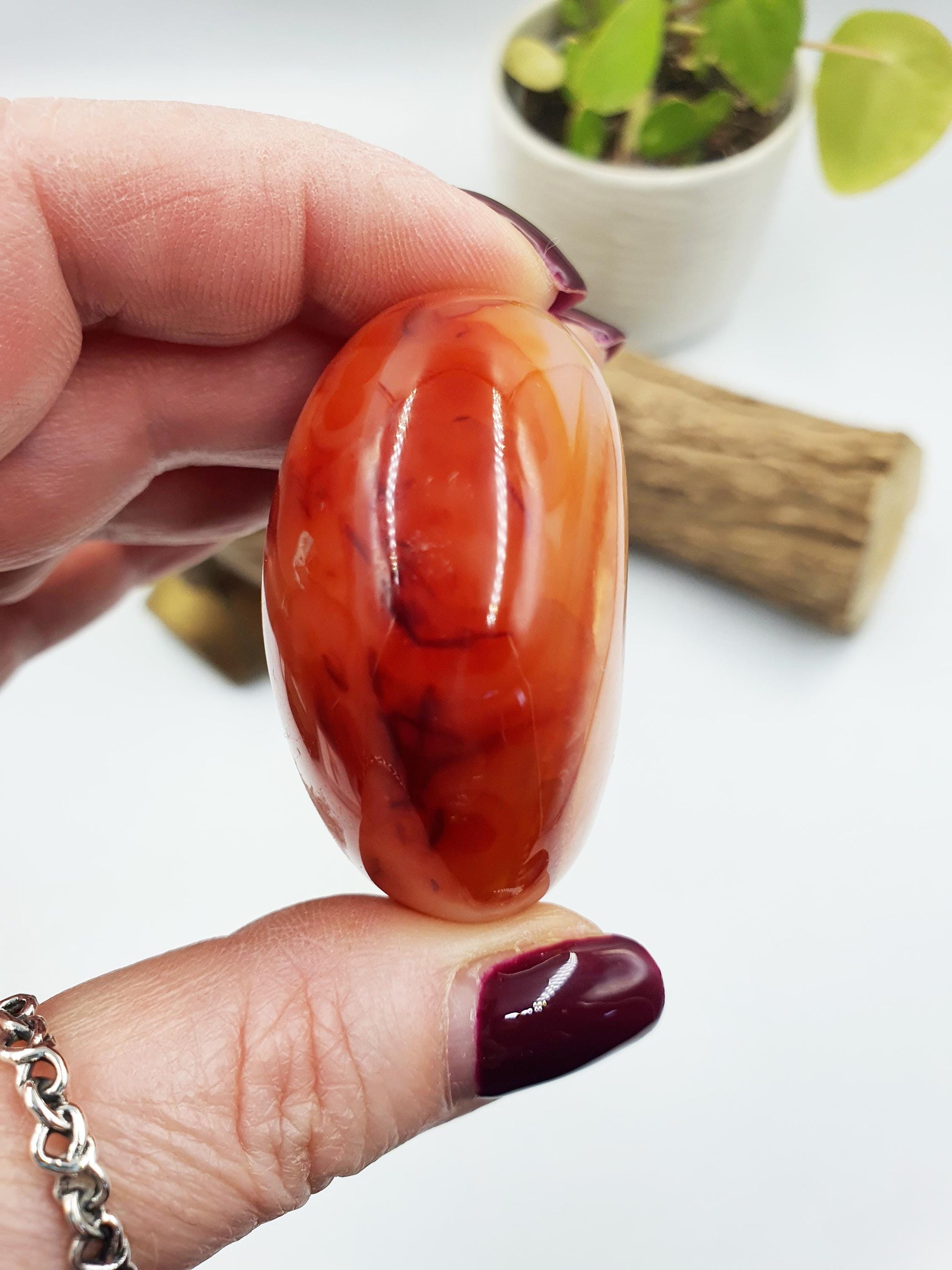 Large Carnelian Palm