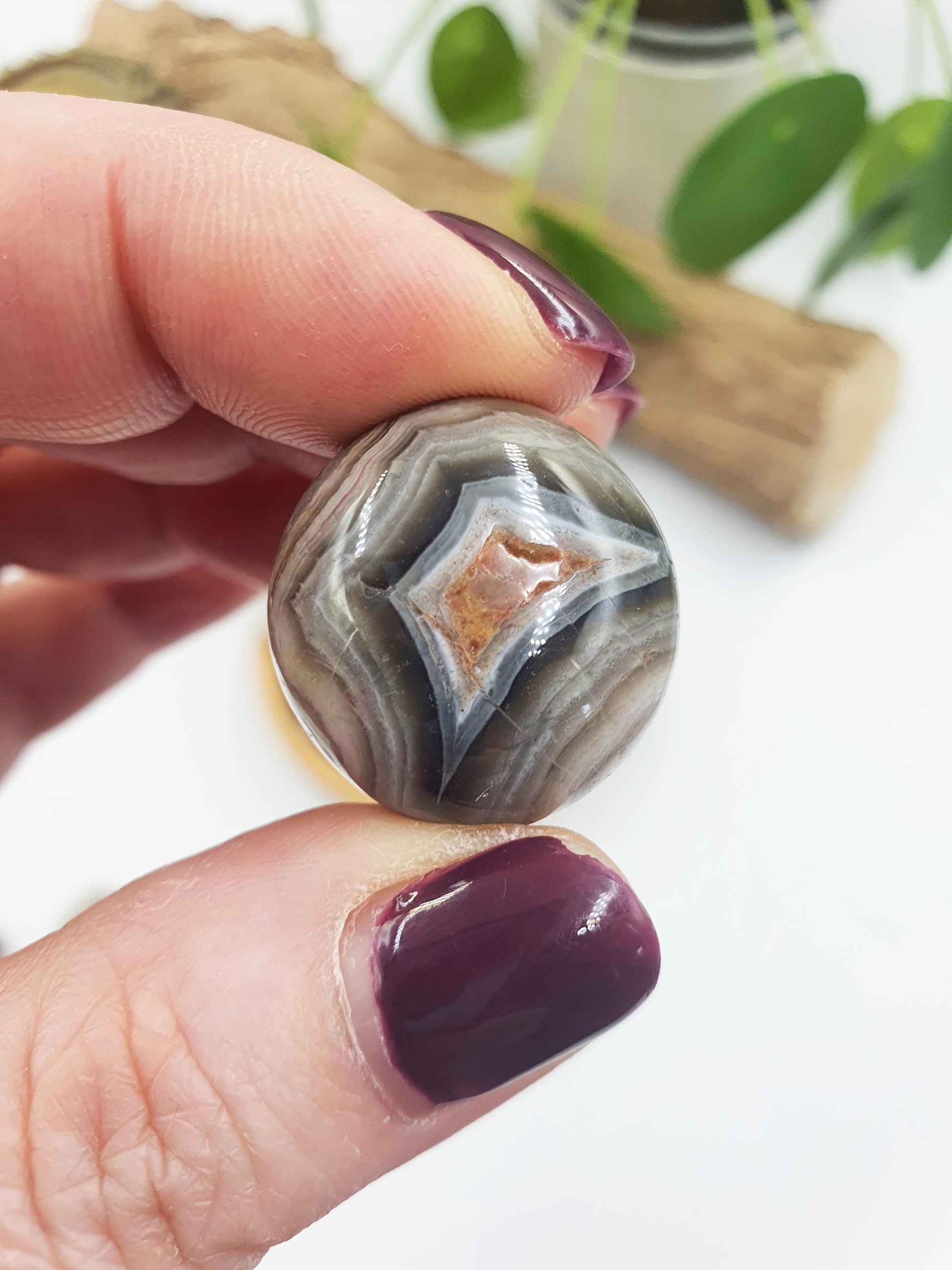 Mexican Crazy Lace Agate Tumbles