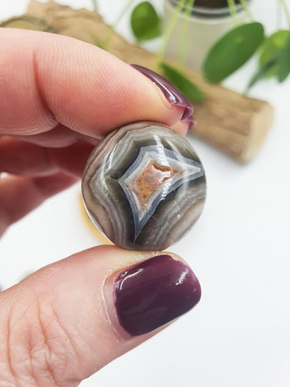 Mexican Crazy Lace Agate Tumbles