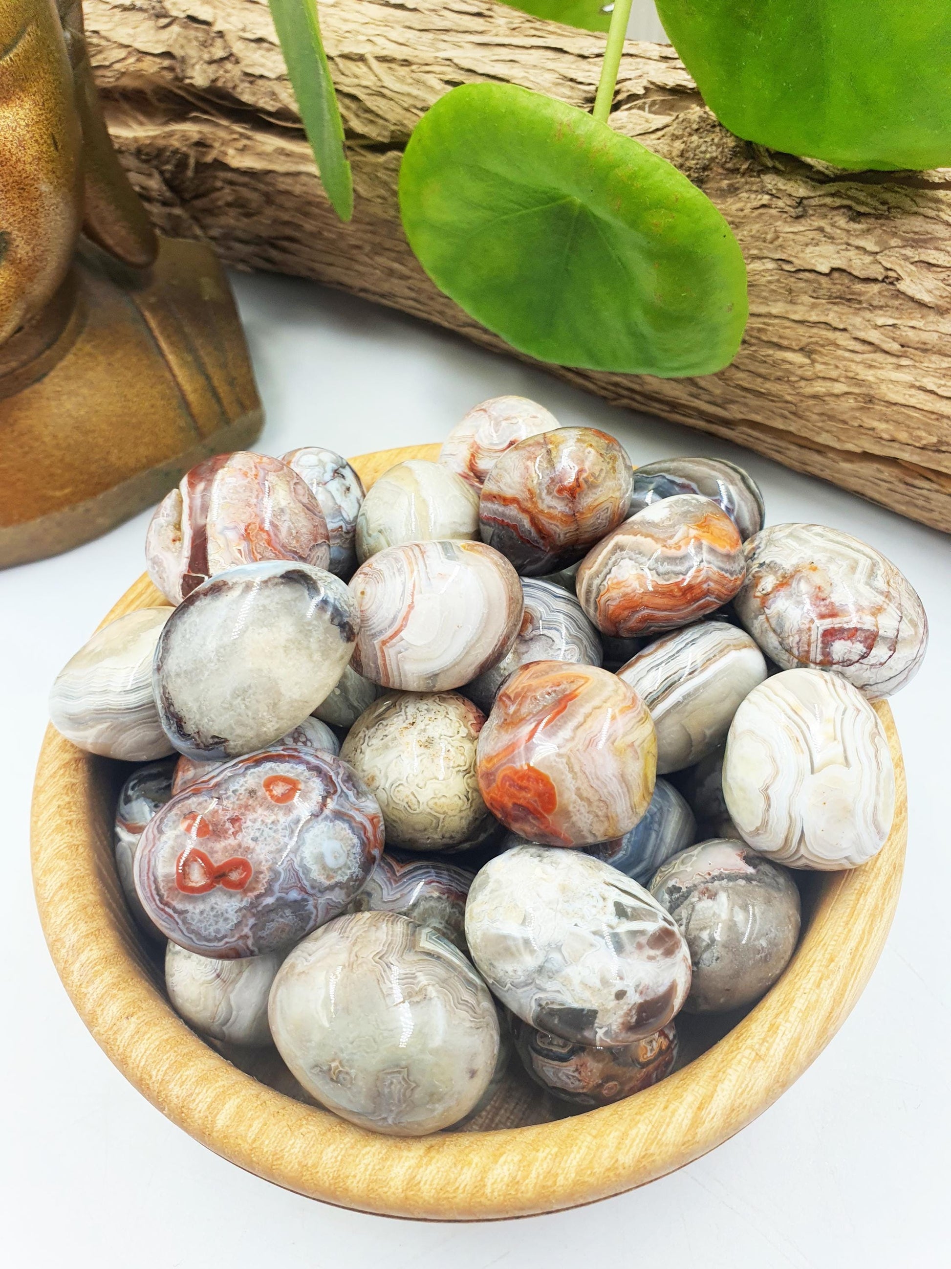 Mexican Crazy Lace Agate Tumbles