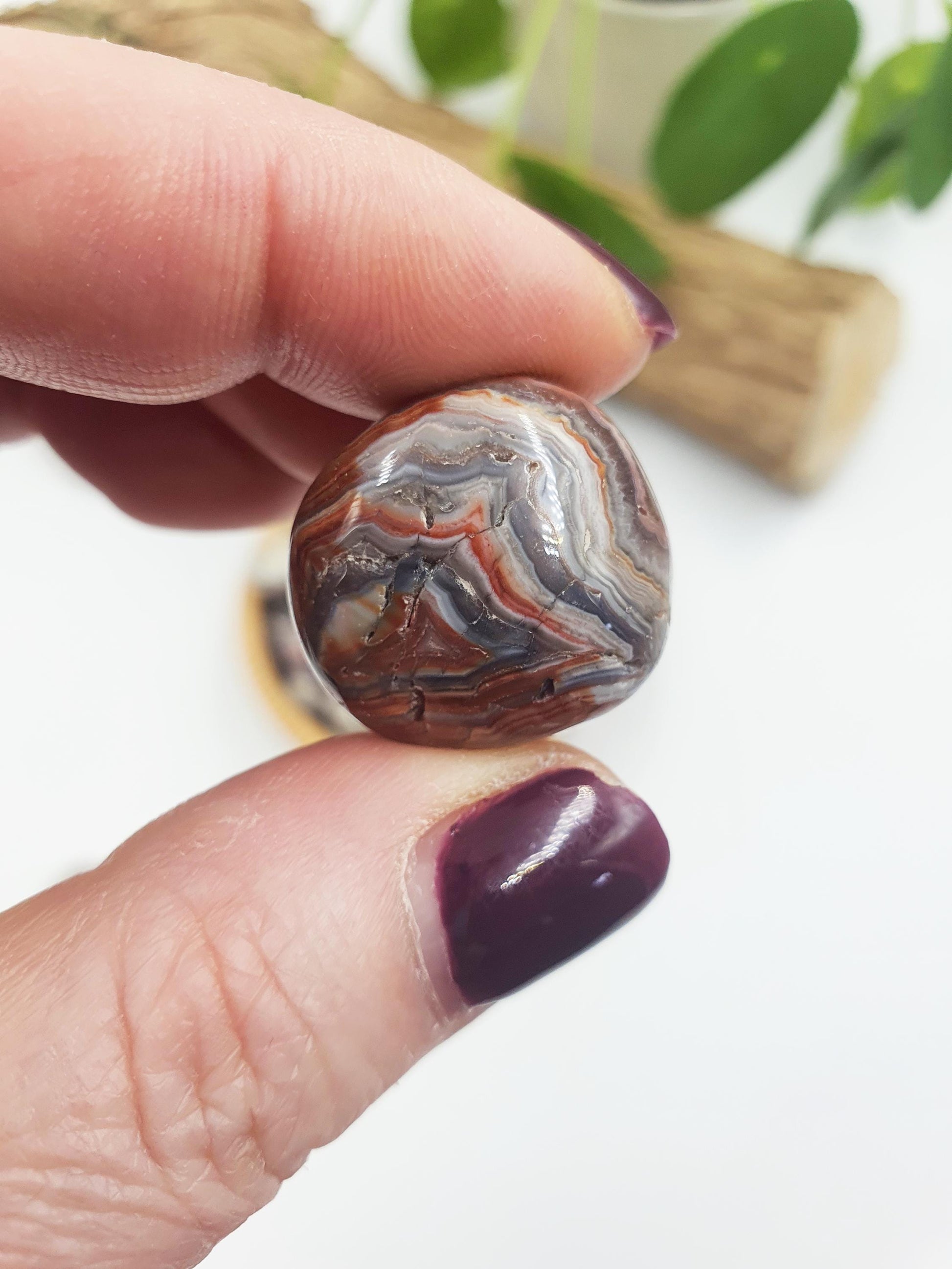 Mexican Crazy Lace Agate Tumbles