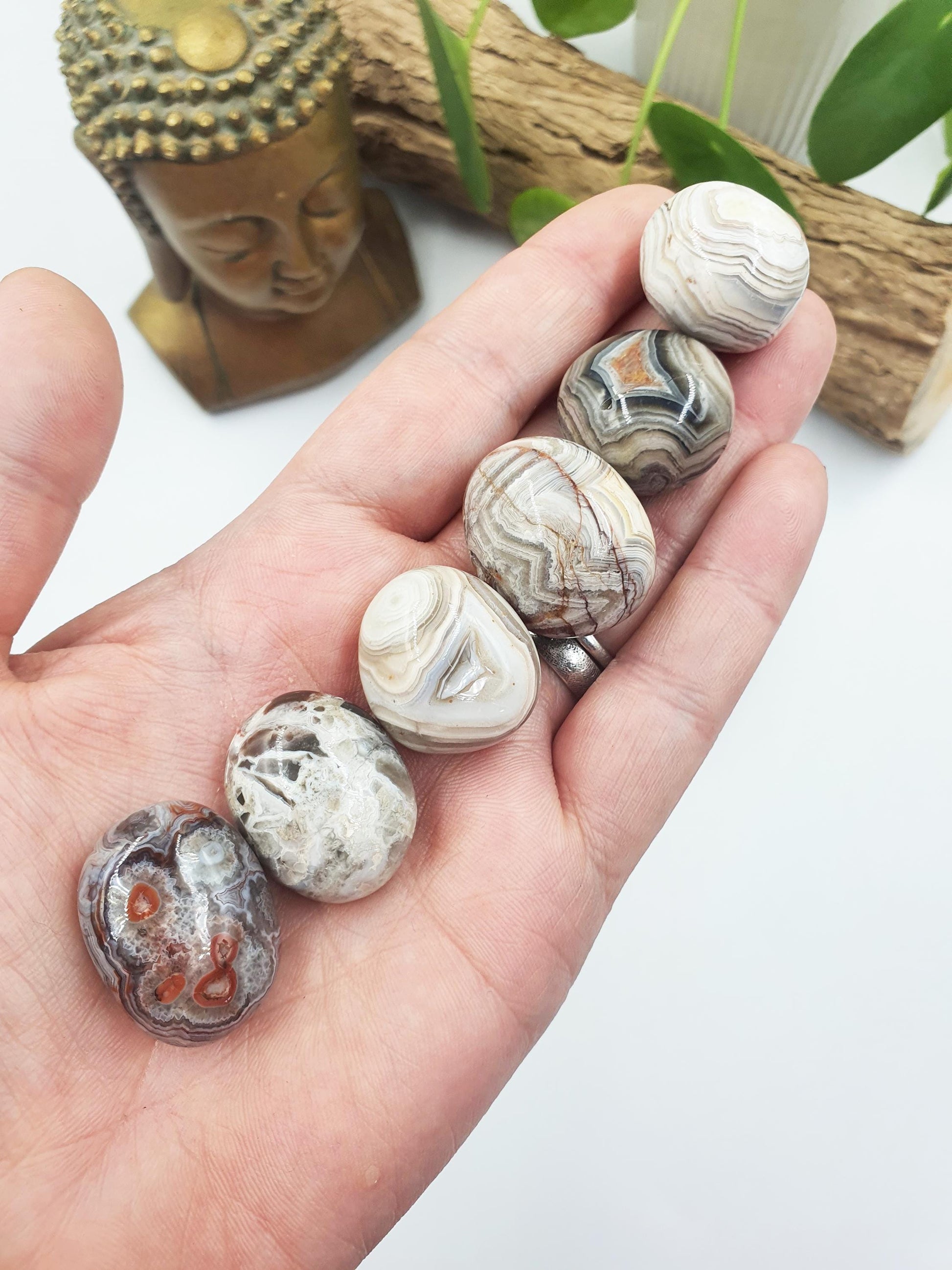 Mexican Crazy Lace Agate Tumbles