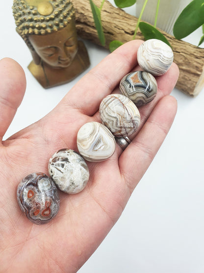 Mexican Crazy Lace Agate Tumbles