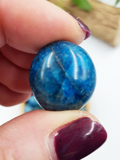 2x Blue Apatite Tumbles