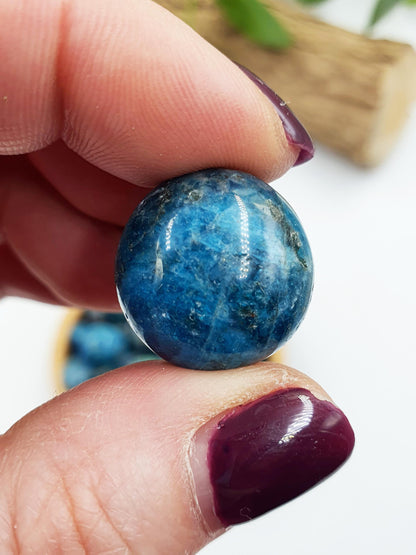 2x Blue Apatite Tumbles