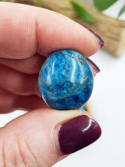 2x Blue Apatite Tumbles