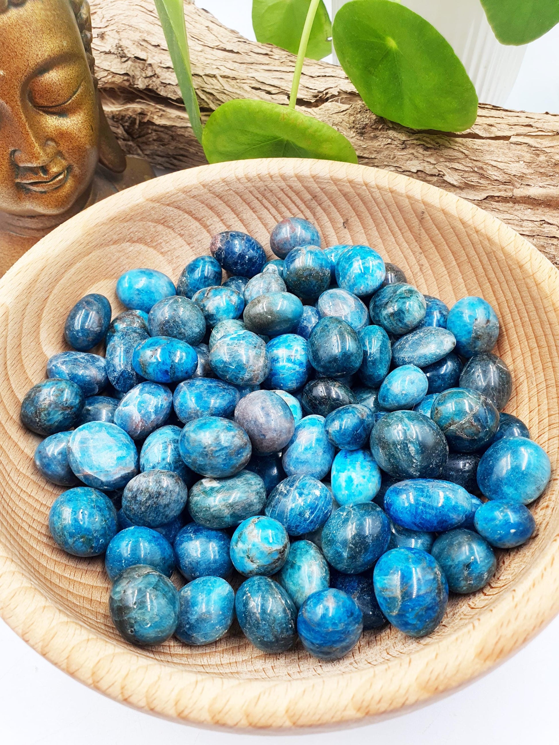 2x Blue Apatite Tumbles