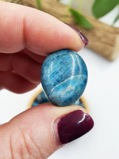 2x Blue Apatite Tumbles