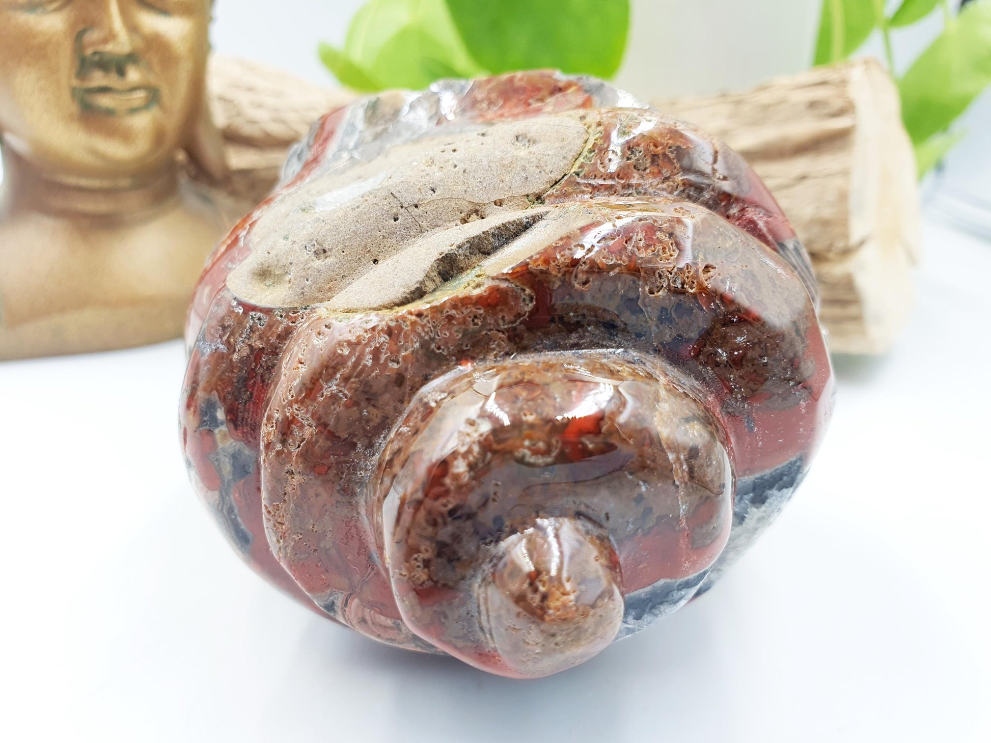 Warring States Red Agate Crystal Shell
