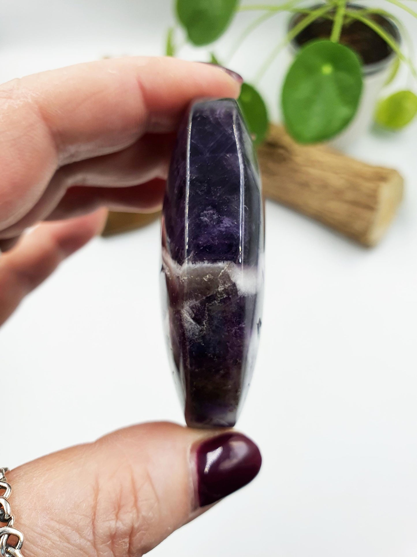 Large Dream Amethyst Palm