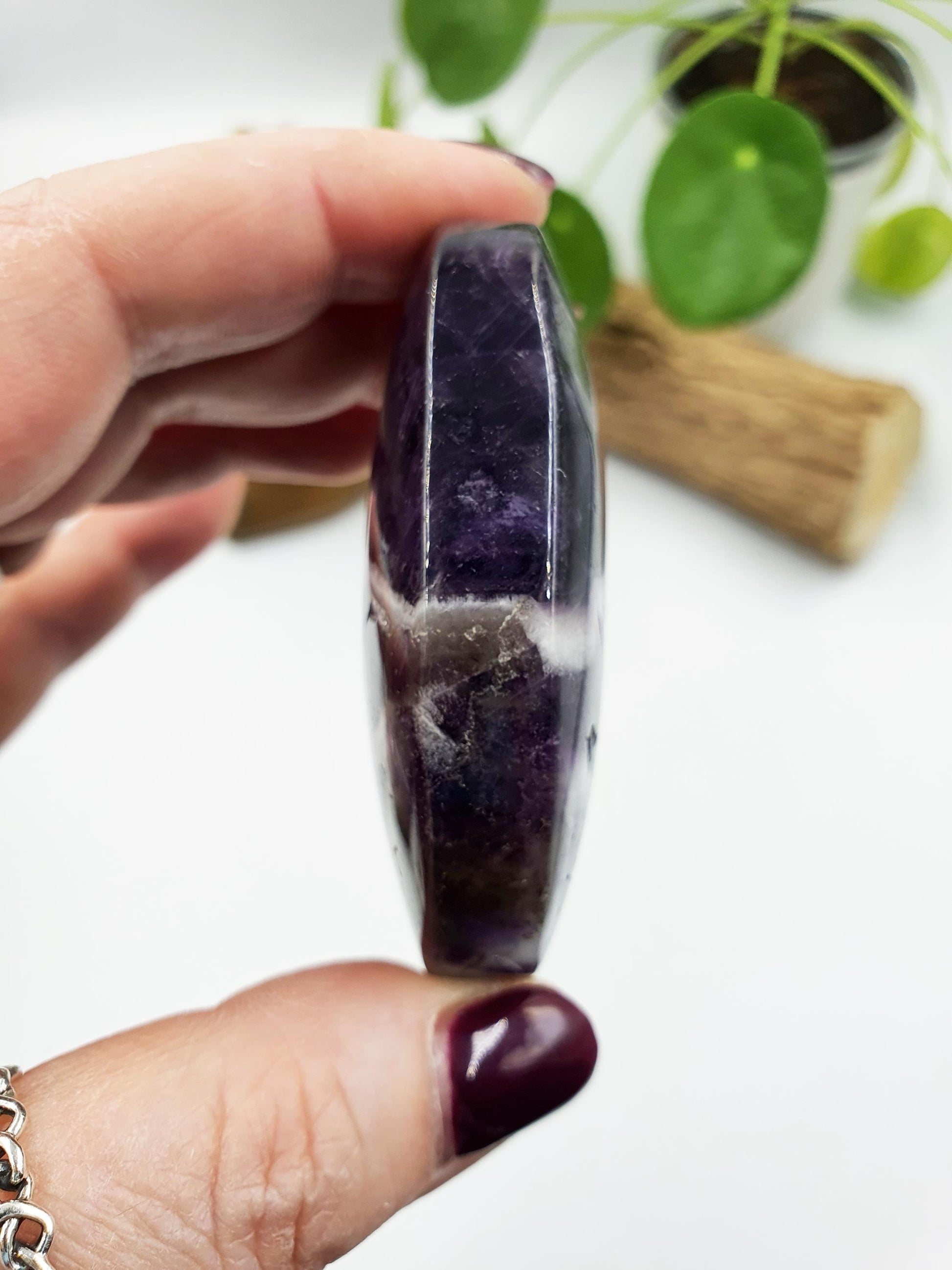 Large Dream Amethyst Palm