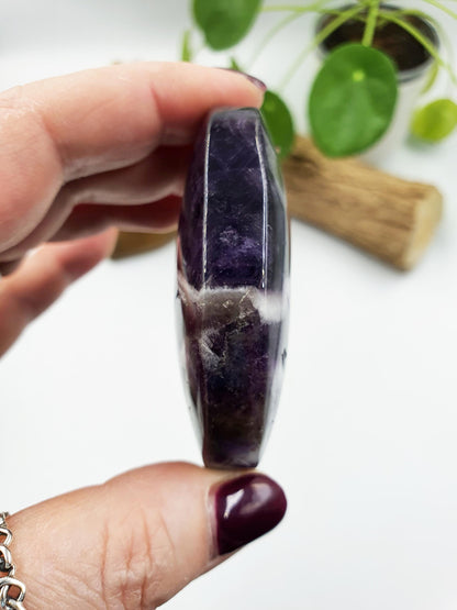 Large Dream Amethyst Palm