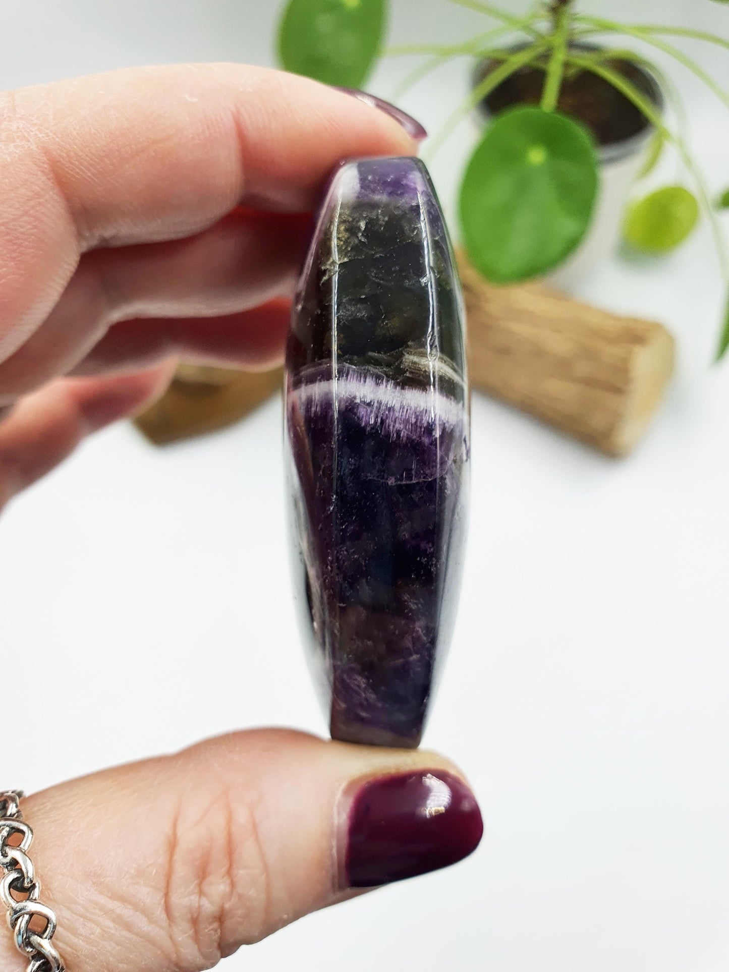 Large Dream Amethyst Palm