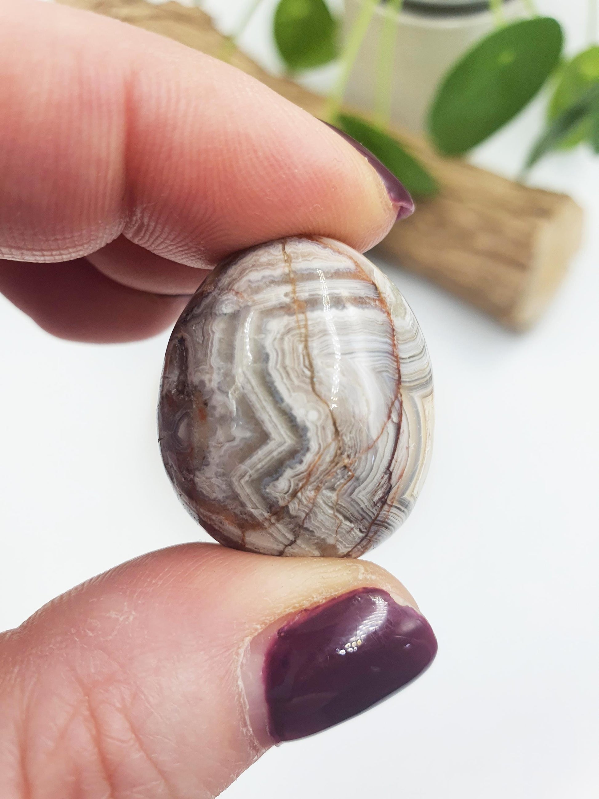 Mexican Crazy Lace Agate Tumbles