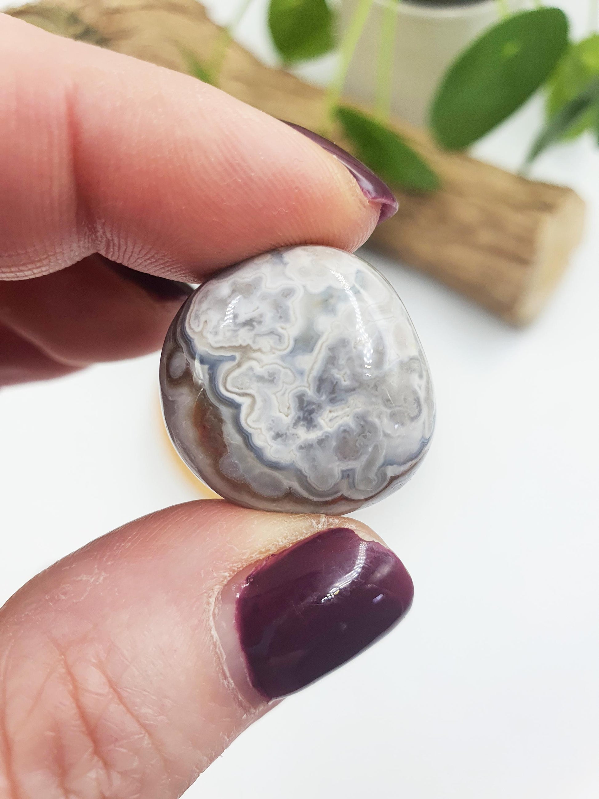 Mexican Crazy Lace Agate Tumbles