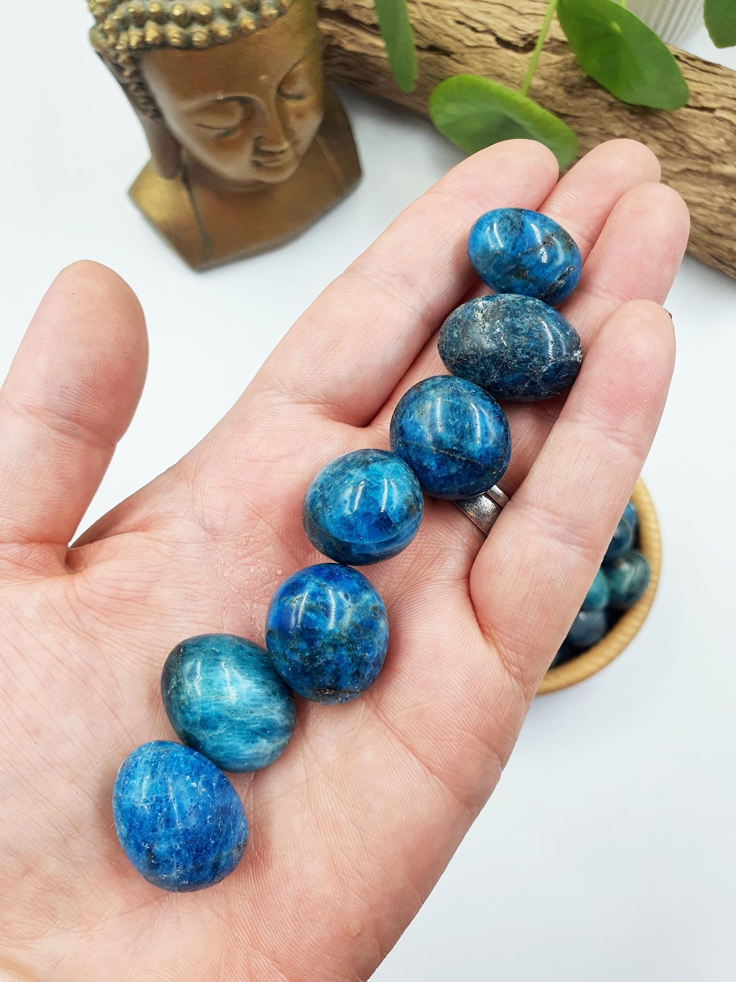 2x Blue Apatite Tumbles