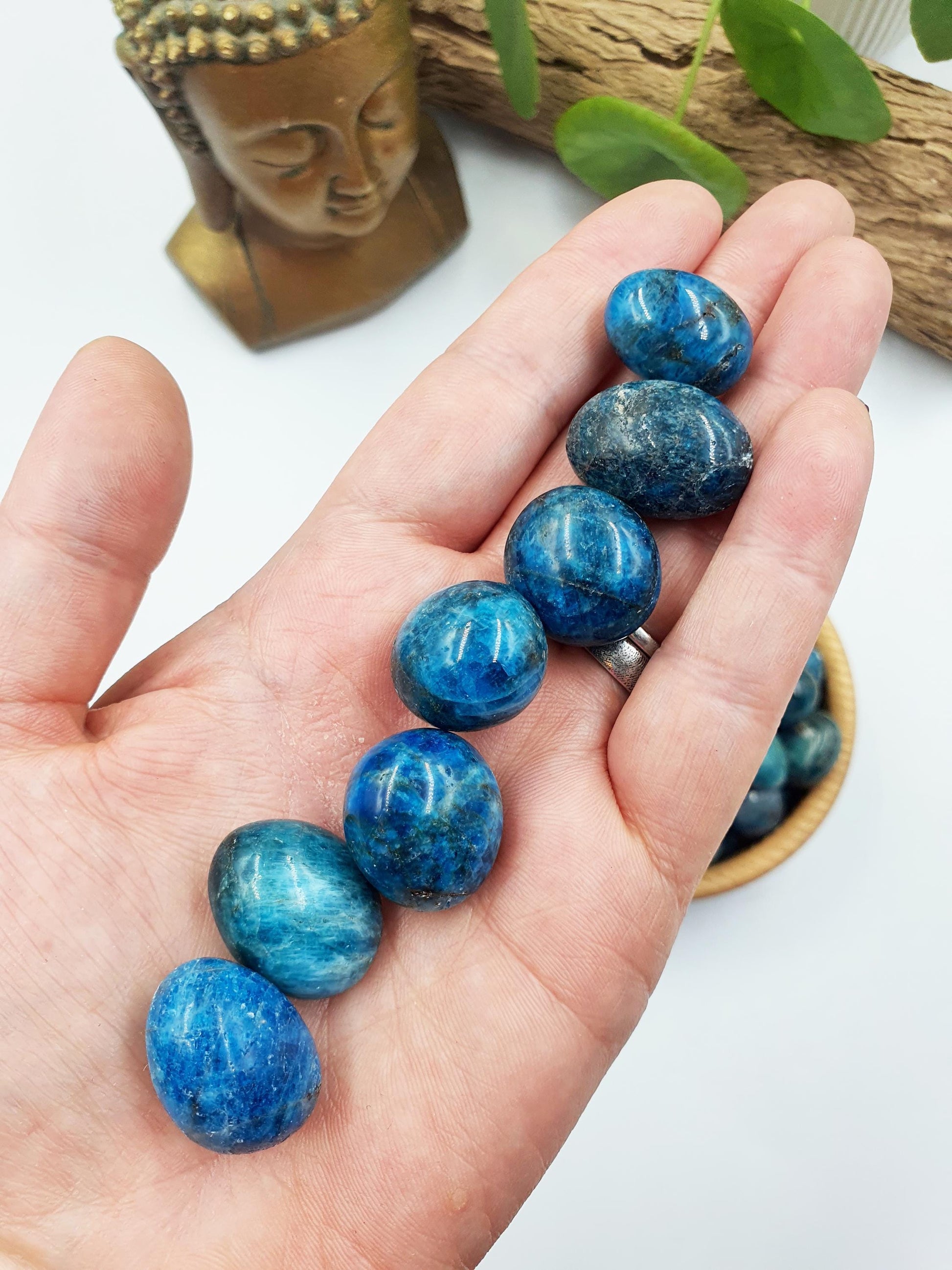 2x Blue Apatite Tumbles