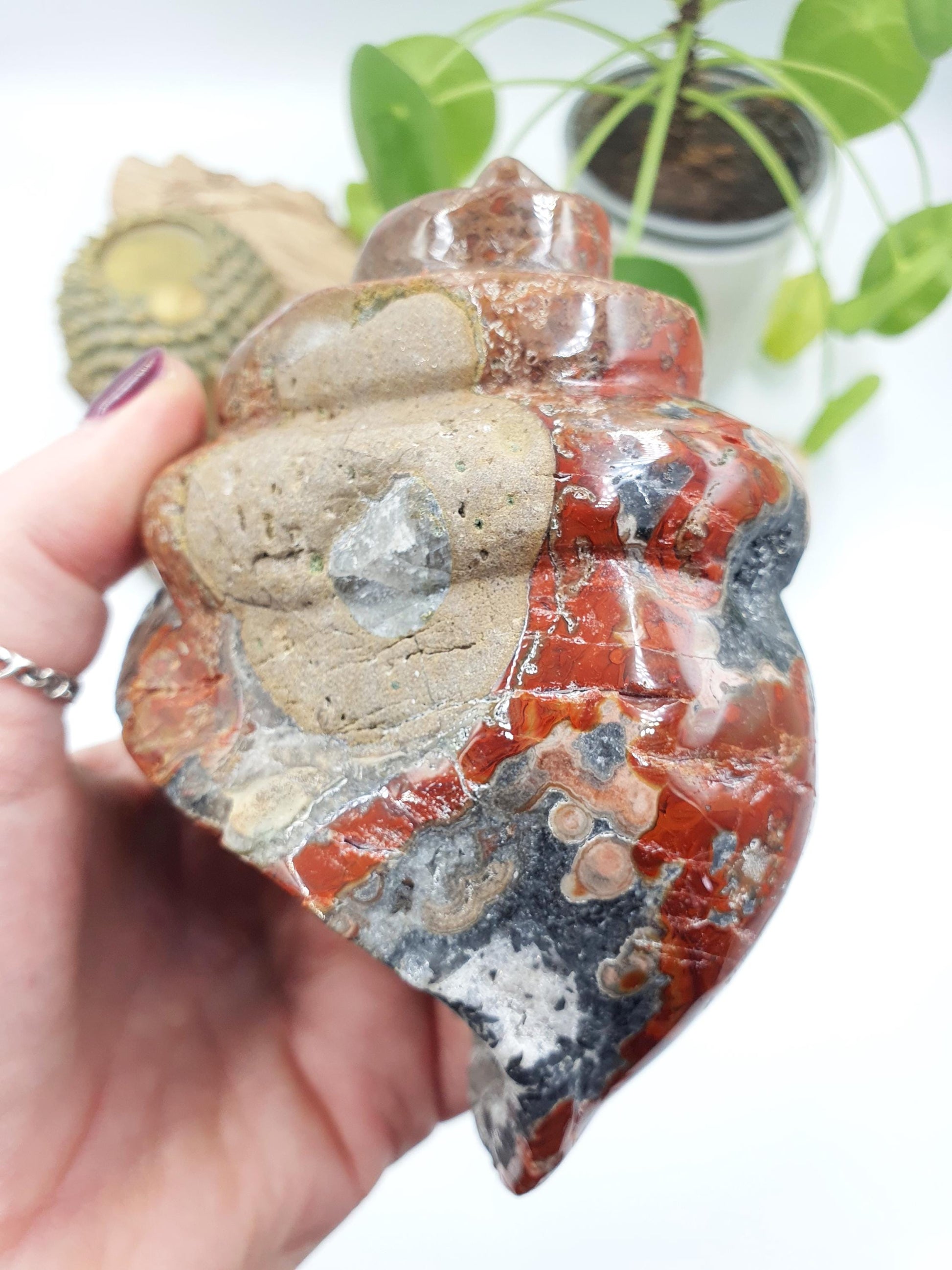 Warring States Red Agate Crystal Shell