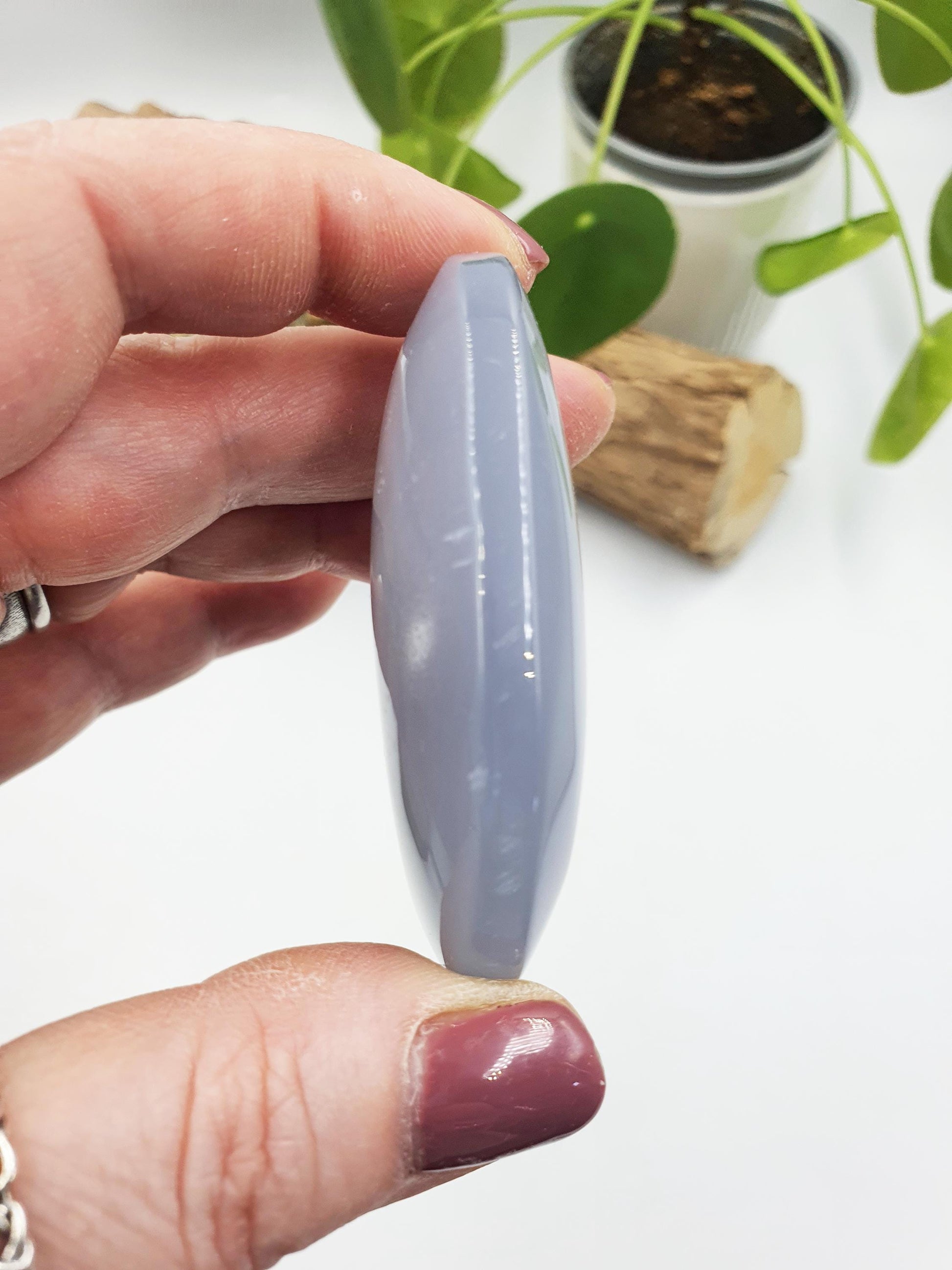 Blue Chalcedony Palm