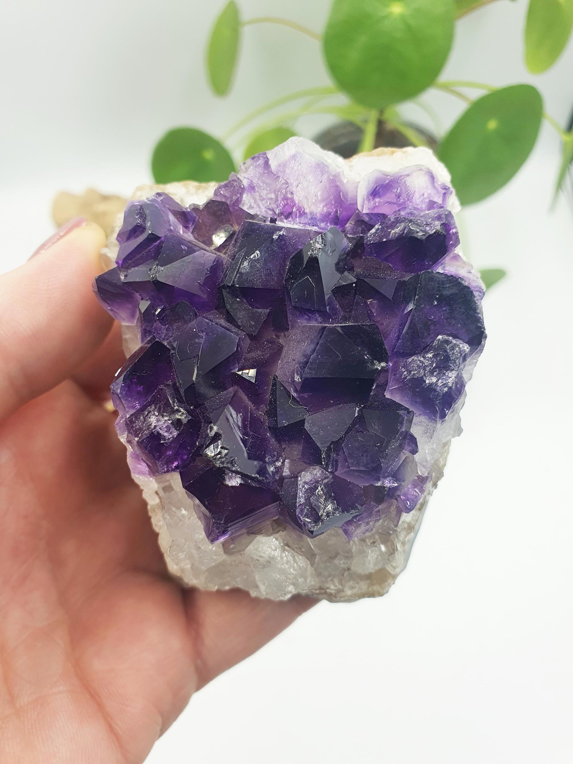 Amethyst Crystal Cluster
