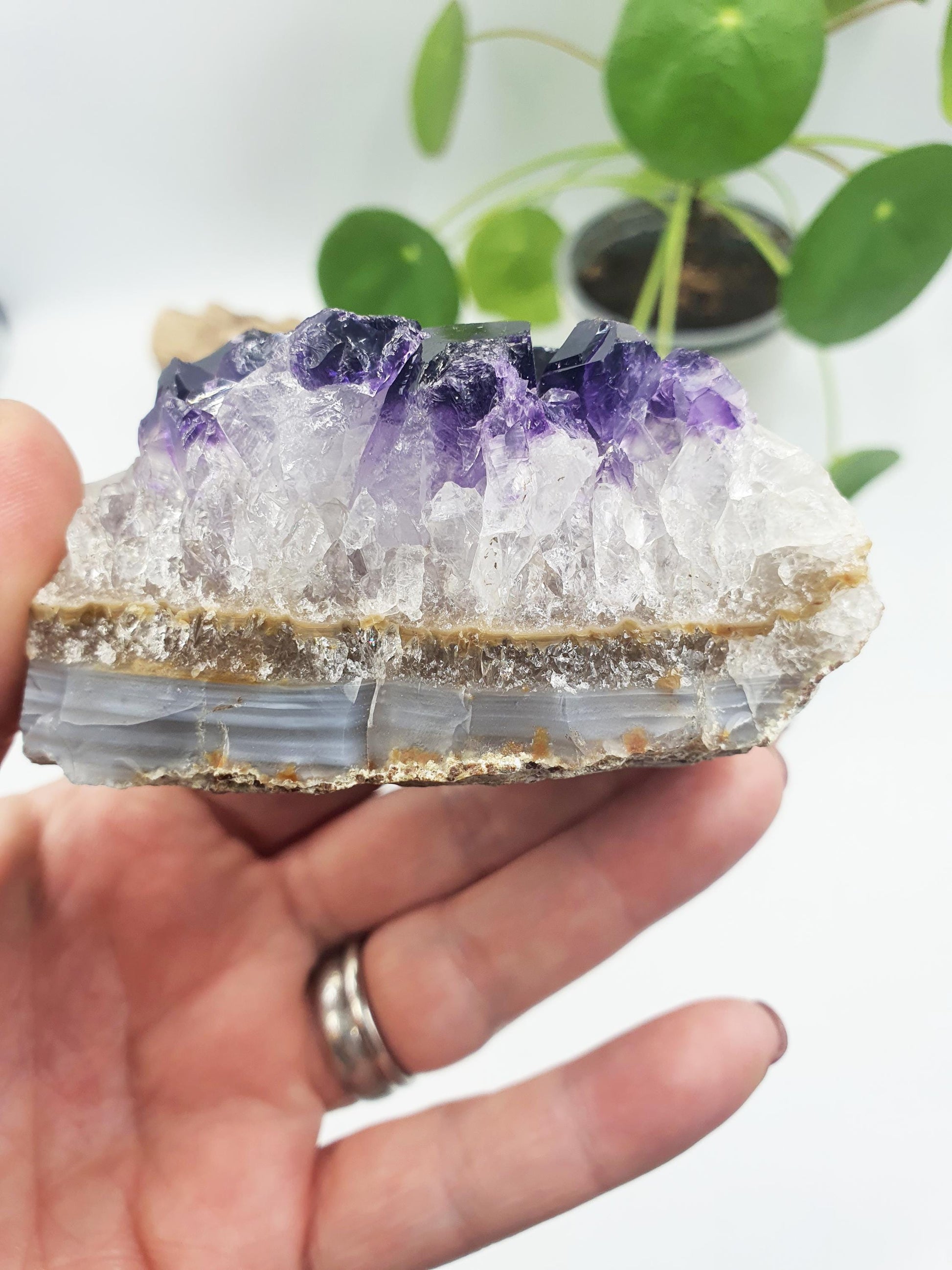 Stunning Amethyst Crystal Cluster / Raw Amethyst Specimen / Amethyst Base Cut / Rough Amethyst Cluster - 330g