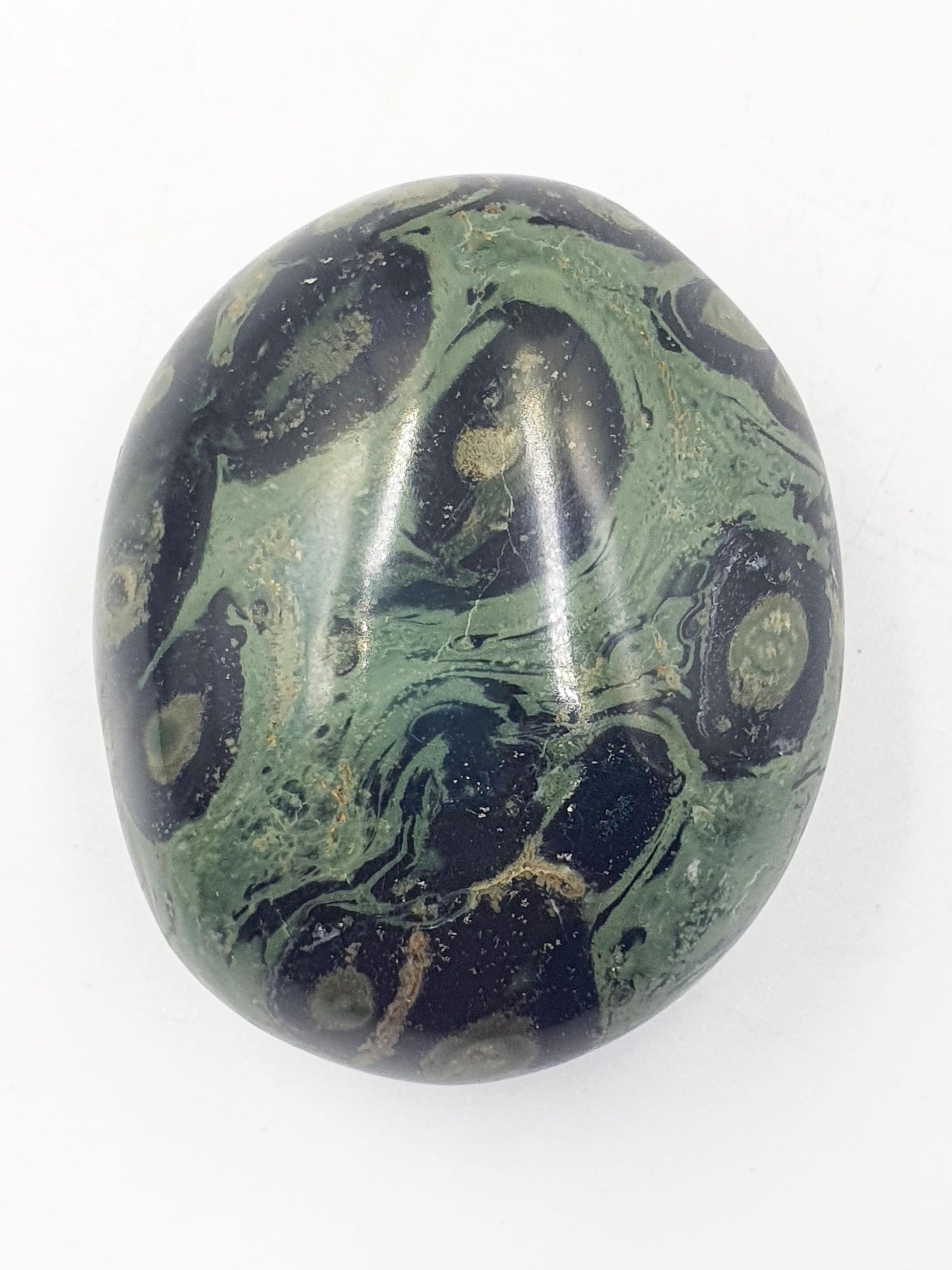 Kambaba Jasper Palm