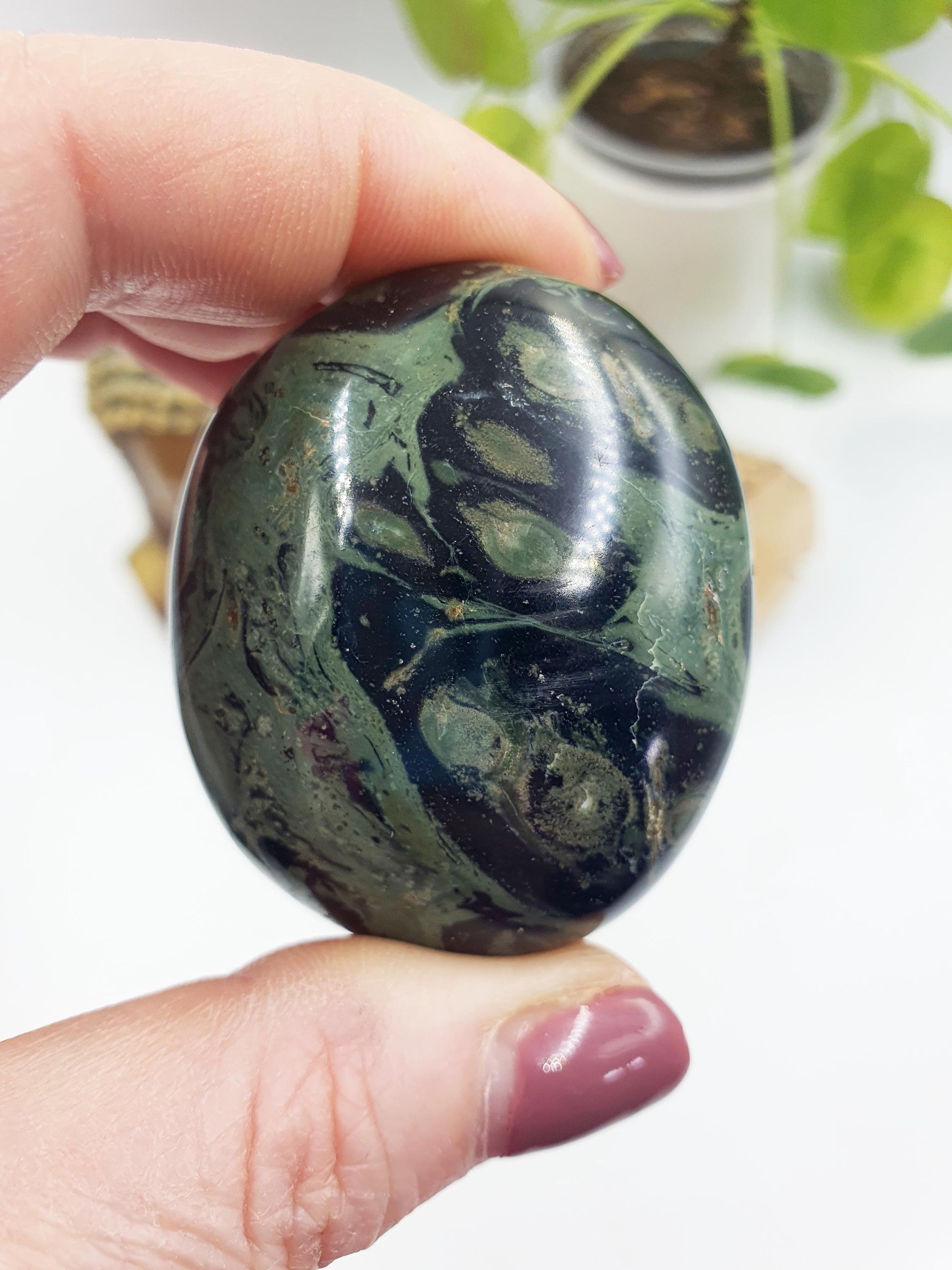 Kambaba Jasper Palm