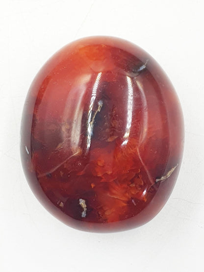 Carnelian Palm