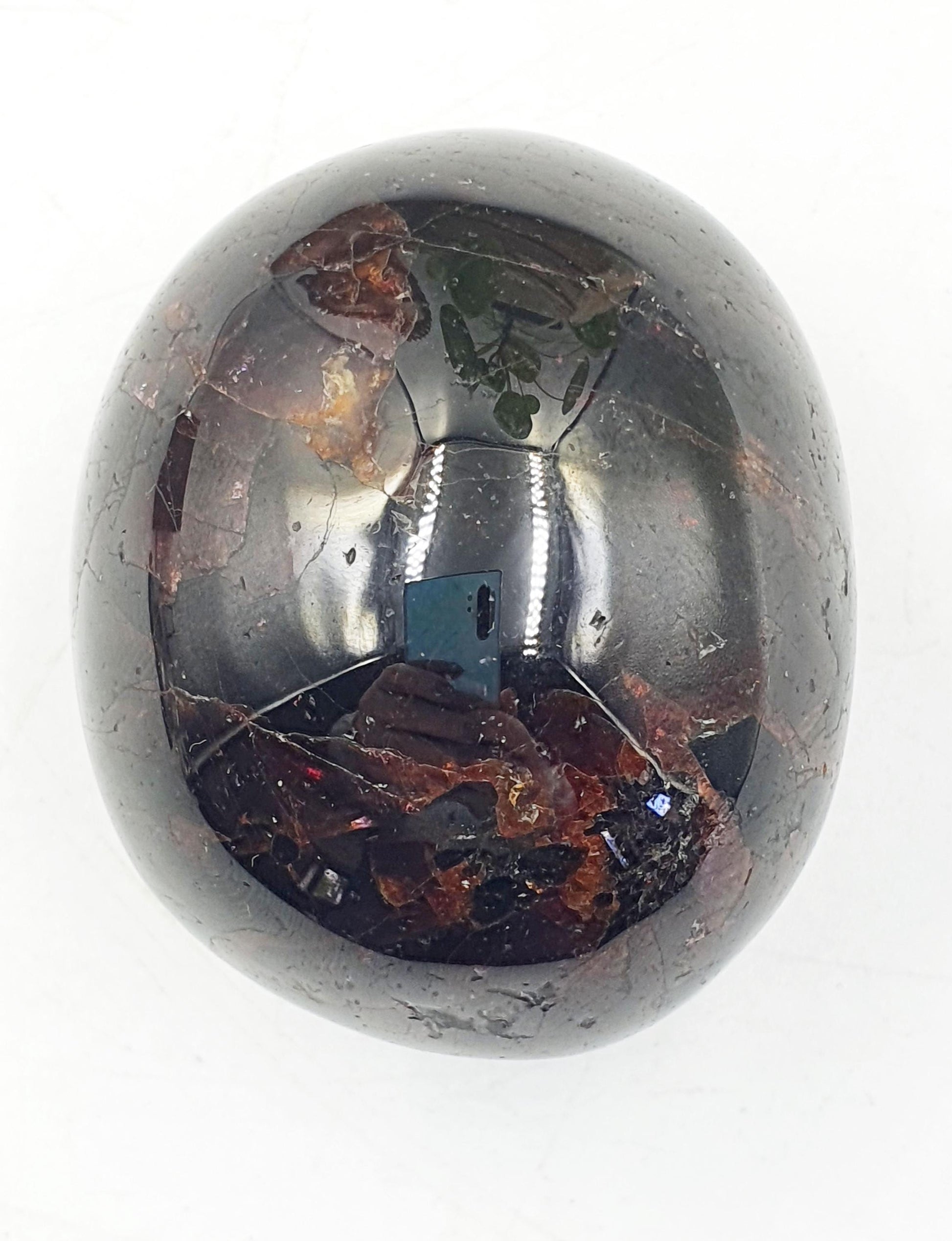 Large Garnet Palm