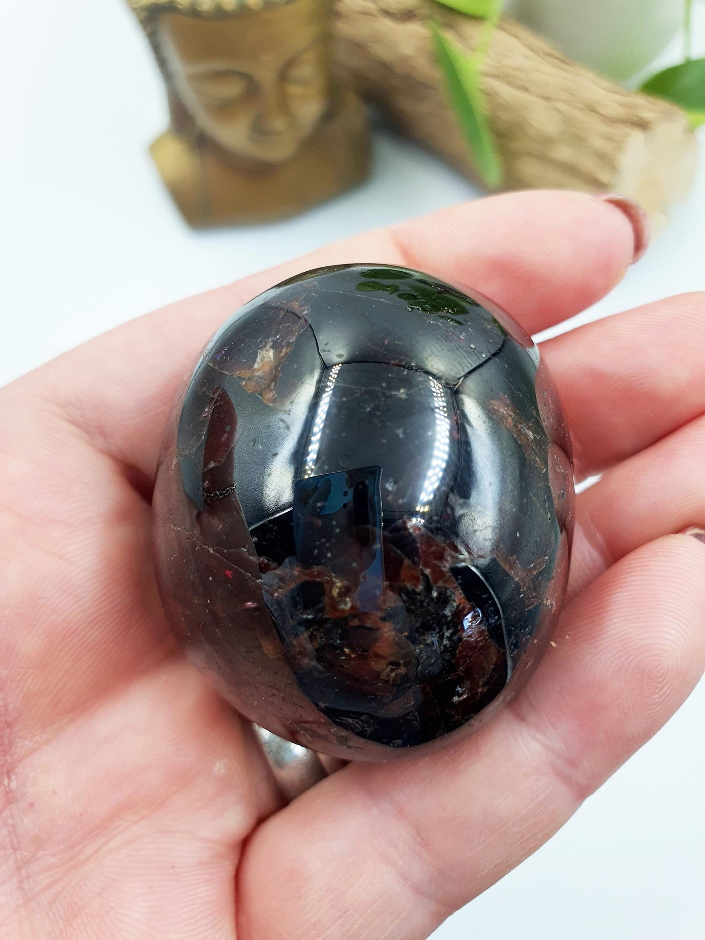 Large Garnet Palm