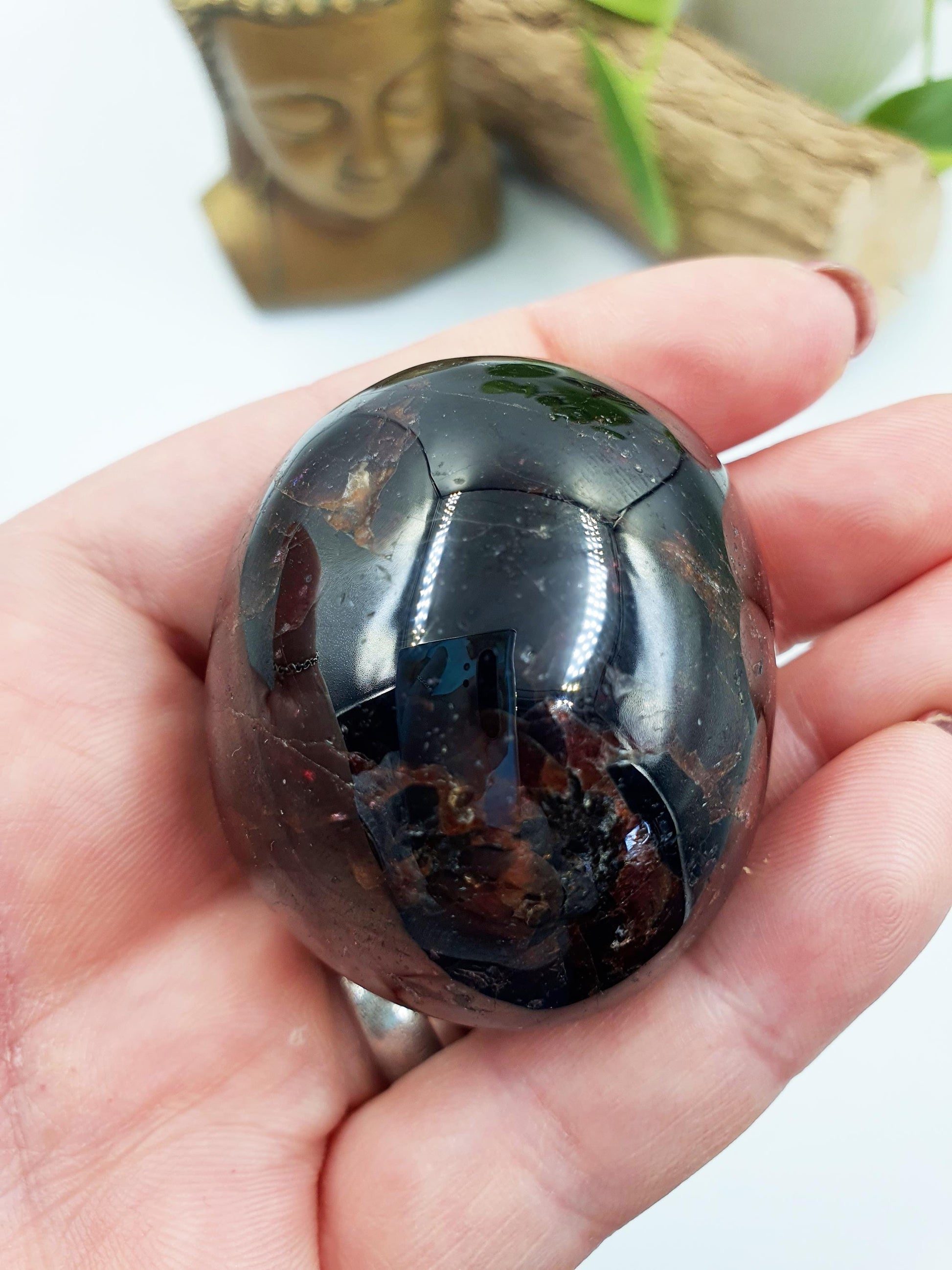 Large Garnet Palm