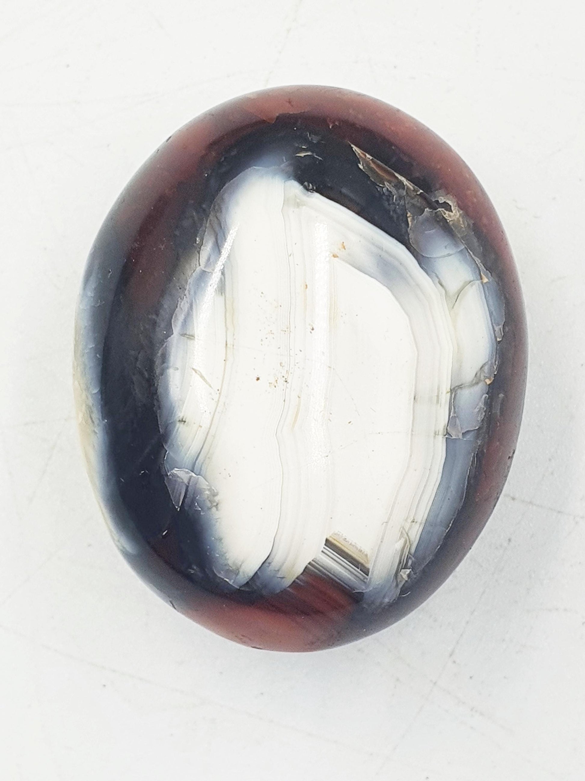 Carnelian Palm