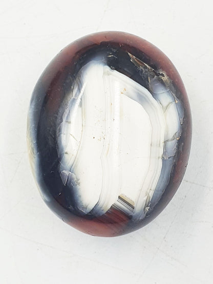 Carnelian Palm