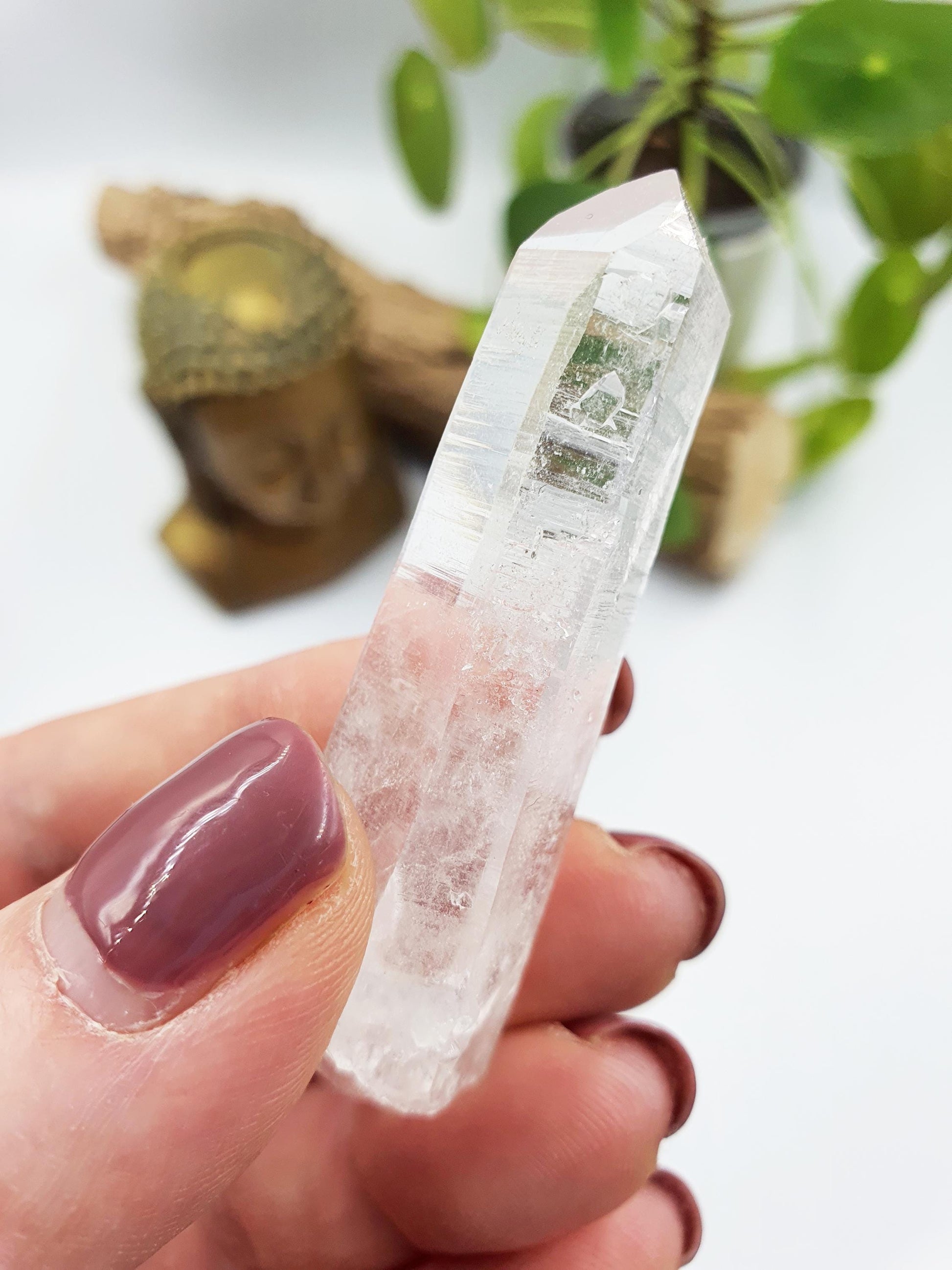 Lemurian Quartz Point