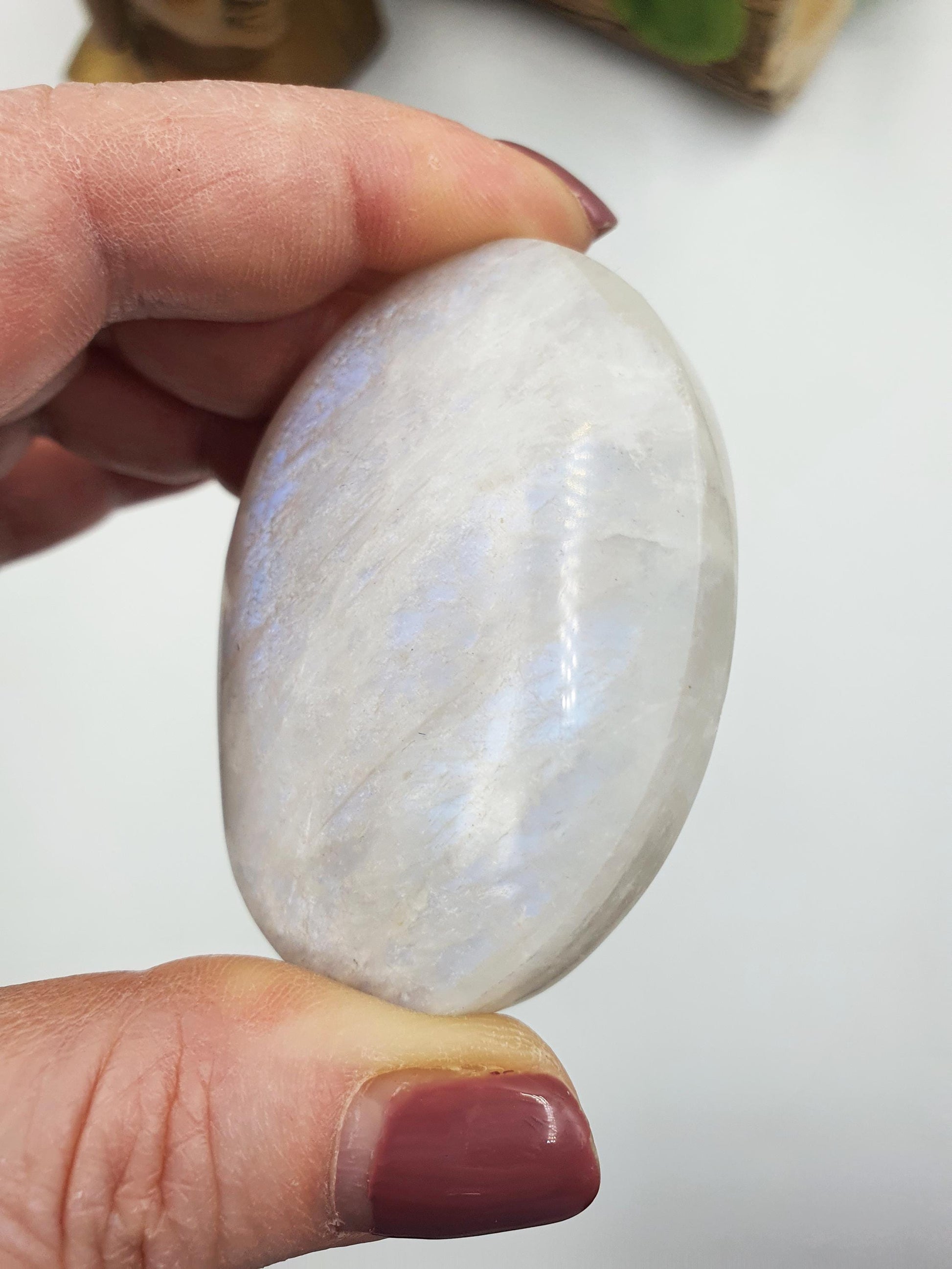 High Grade Flashy Blue Moonstone Palm