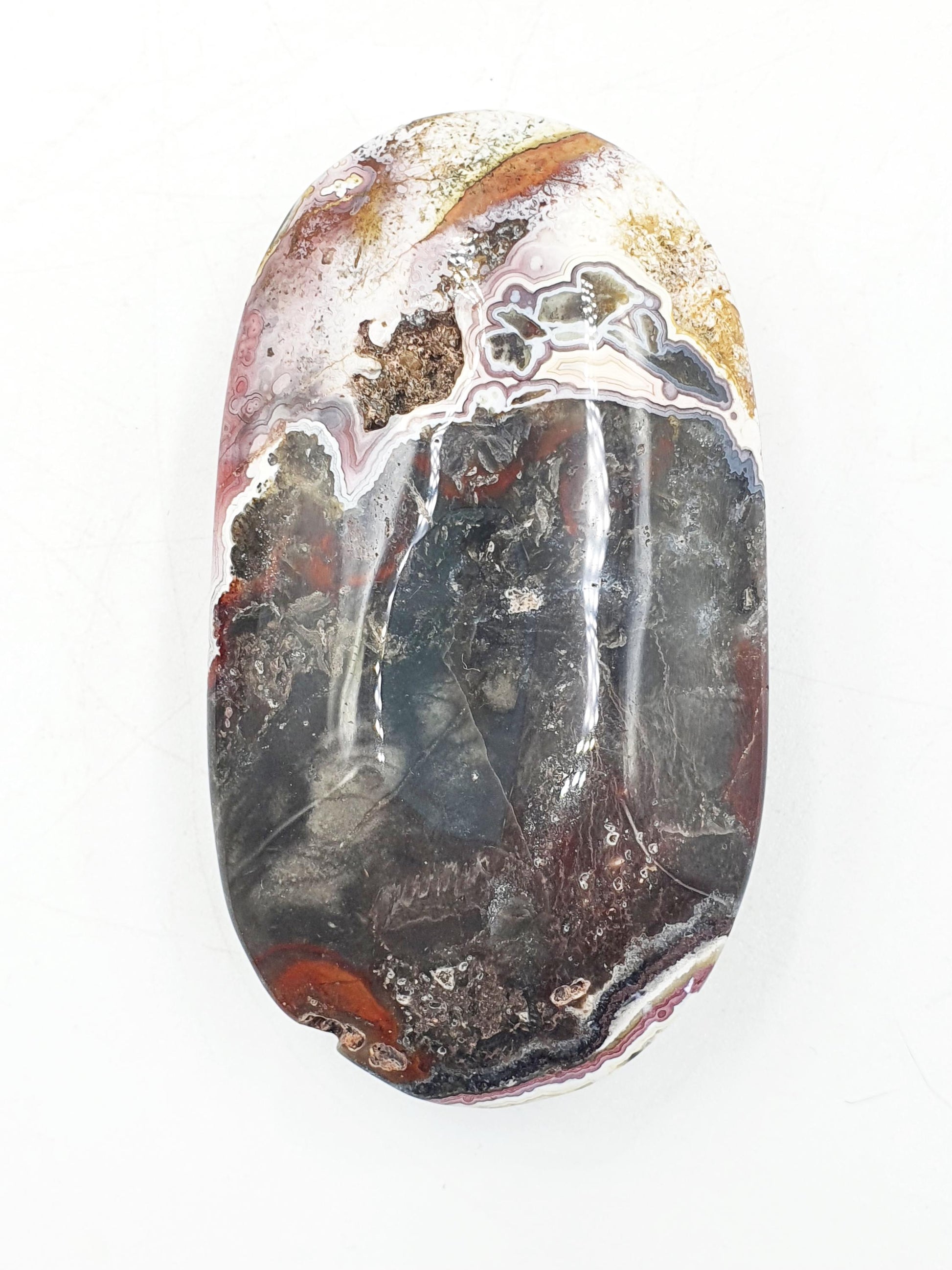 Mexican Crazy Lace Agate Palm
