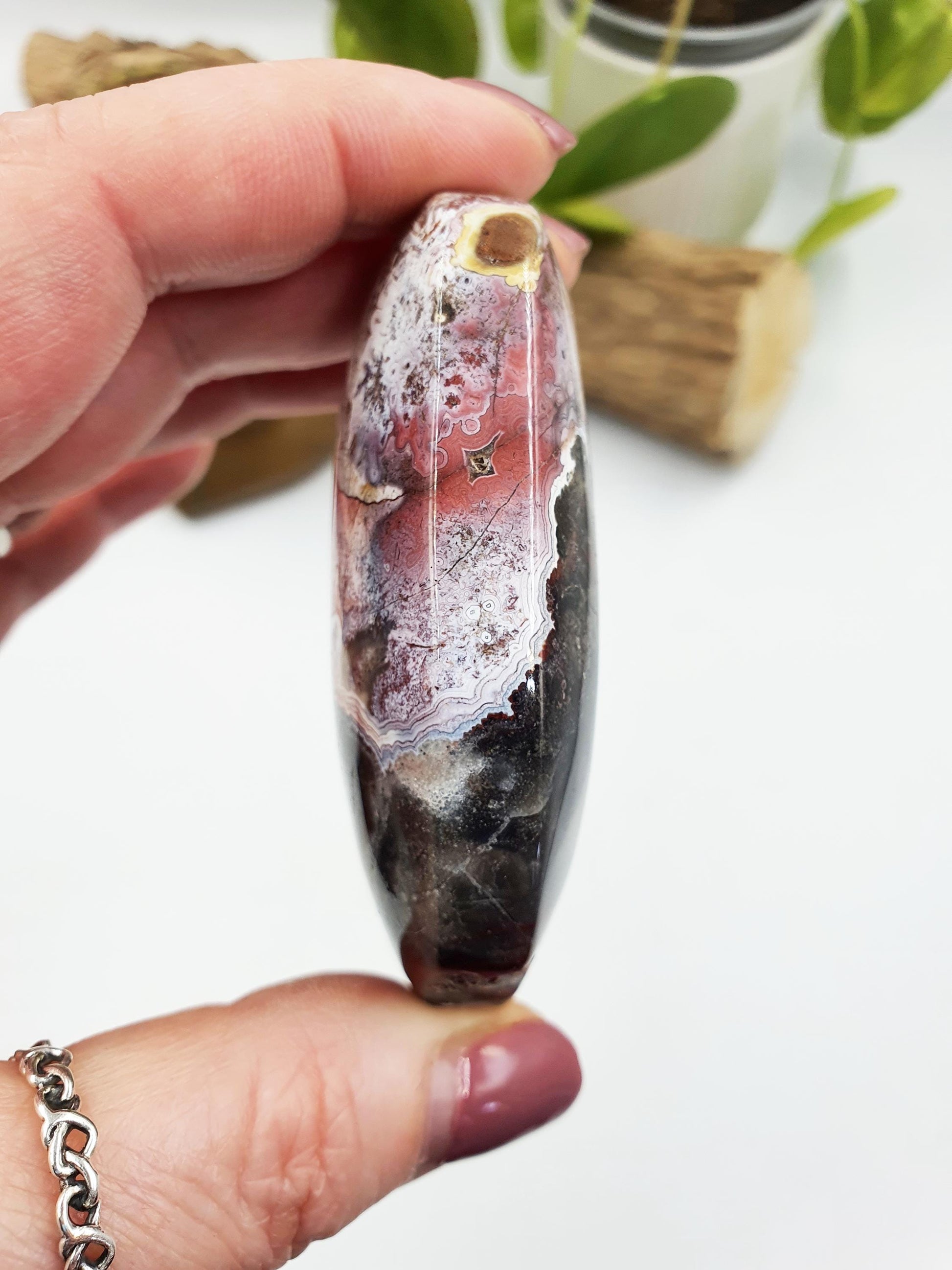 Mexican Crazy Lace Agate Palm