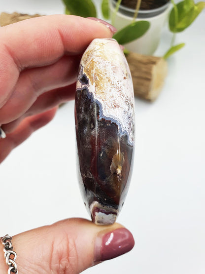 Mexican Crazy Lace Agate Palm