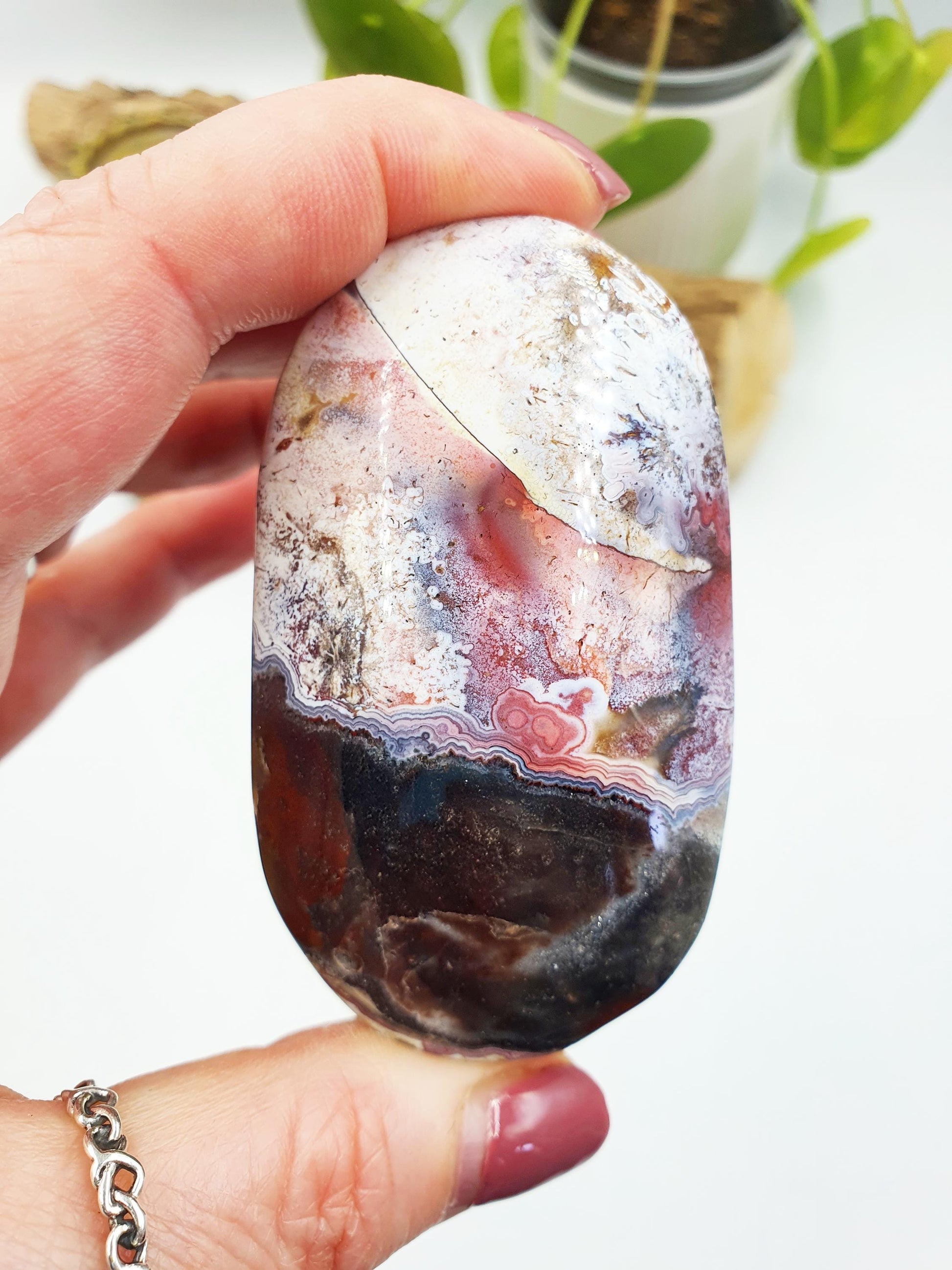 Mexican Crazy Lace Agate Palm